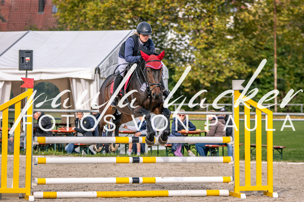 IMG_5339 | Erleben Sie dynamische Sport- und emotionale Tierfotografie in Süddeutschland mit Fotos von Paula. Spezialisiert auf Pferde- und Hundefotografie sowie Sportevents. Kontaktieren Sie mich für einzigartige und ausdrucksstarke Bilder Ihrer besonderen Momente. - Realisiert mit Pictrs.com