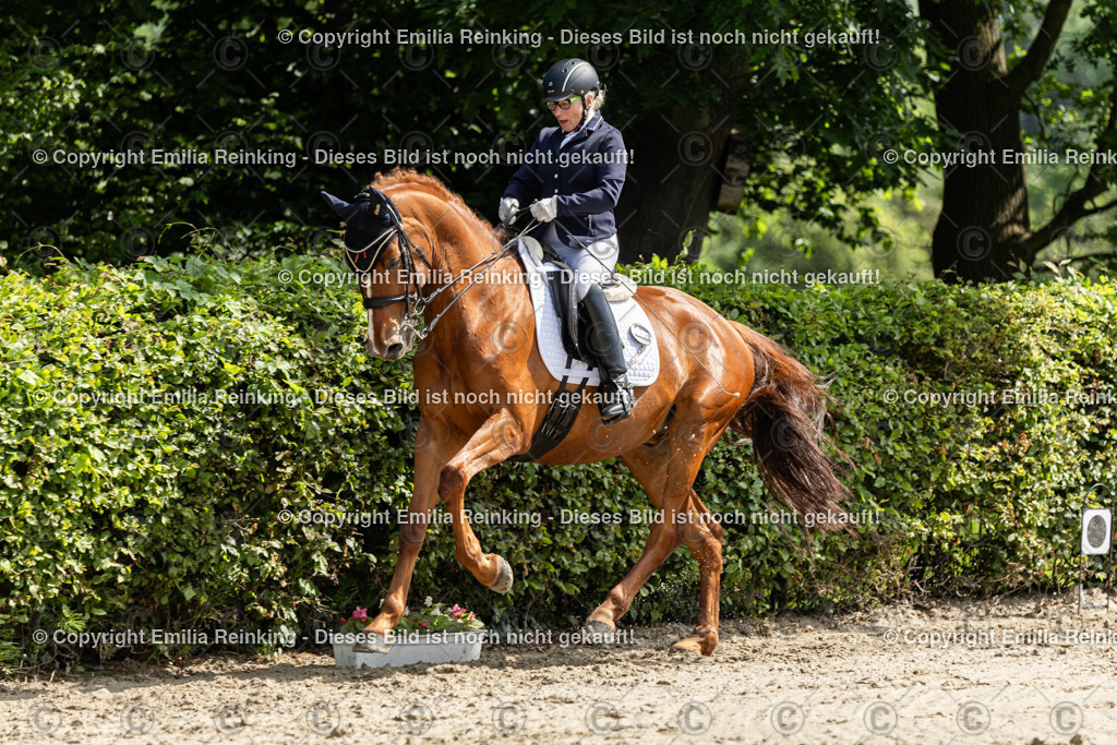 CL5A7564 | Emilia Reinking Fotografie - Realisiert mit Pictrs.com