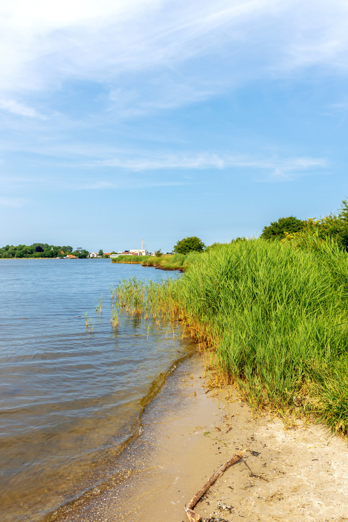 Wandbild: Uferbereich in Winnemark an der Schlei | Dieses Wandbild im Hochformat zeigt den Uferbereich in Winnemark an der Schlei. Auf der rechten Seite befindet sich Schilf. In der Ferne kann man beim genauen Betrachten Arnis auf der anderen Uferseite erkennen. Am blauen Himmel befinden sich einige Schleierwolken.  - Realisiert mit Pictrs.com