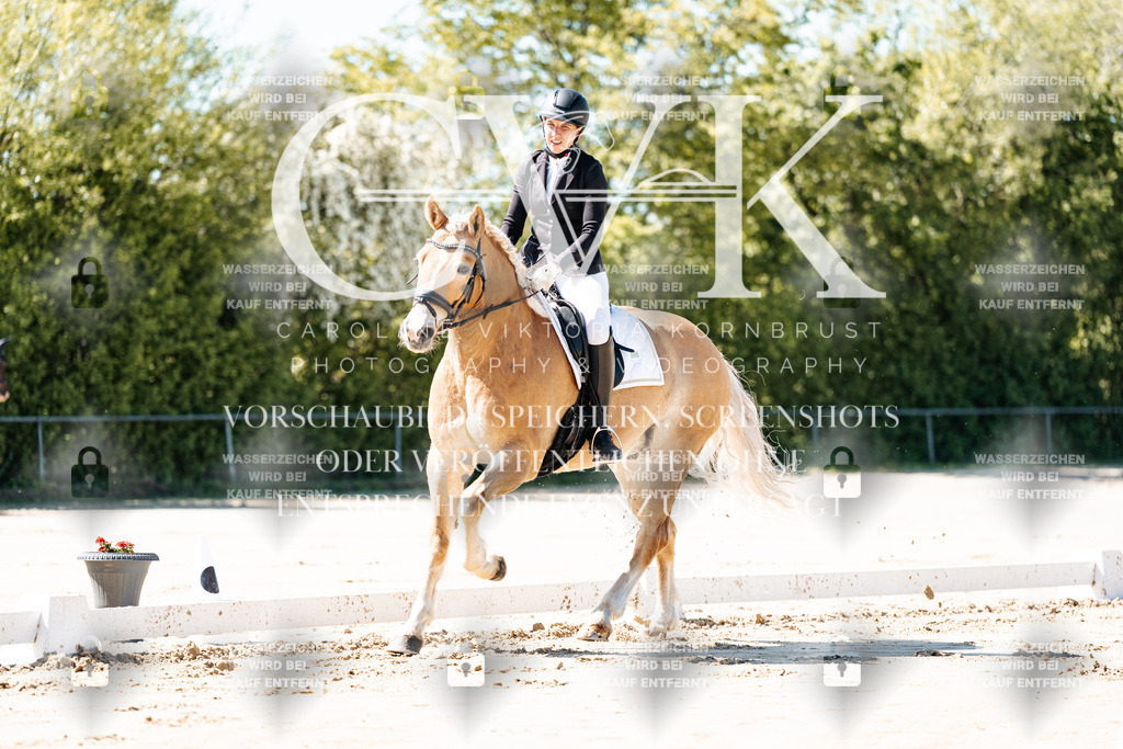 CK904975 | Turnierfotografie Pferdefotografie Trier Rheinland-Pfalz Pferdesport Reitsport Tierfotografie Sportfotografie Pferdevideo Pferdevideografie Equestrianvideography equestrianphotography  - Realisiert mit Pictrs.com