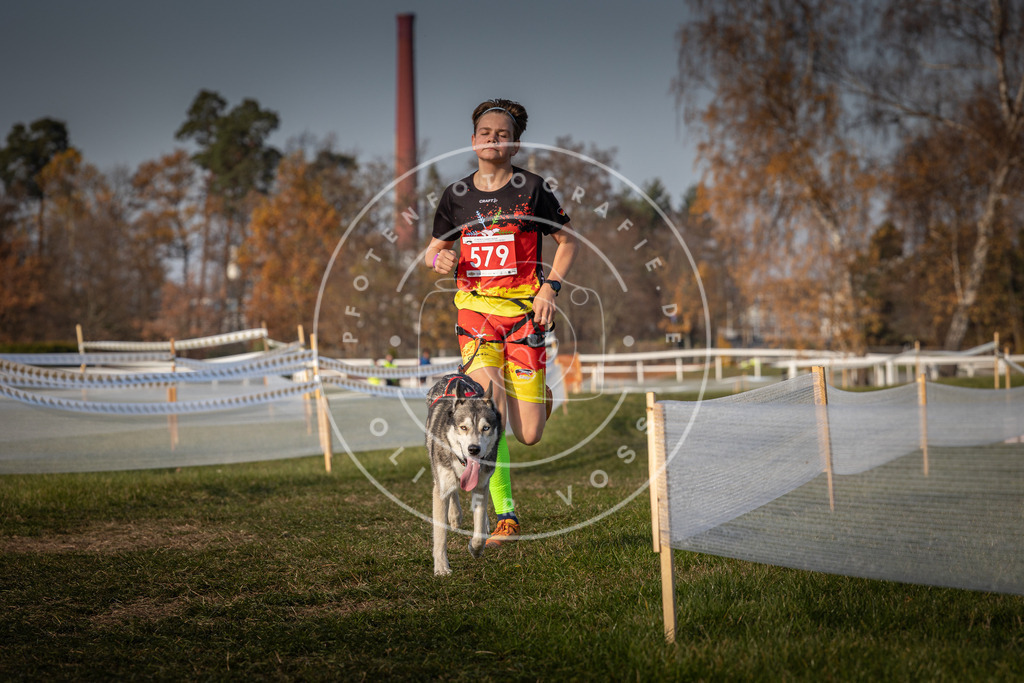 CaniXpix_0L8A9685 | Hundefotografie, Tierfotograf, Pfotenfotografie, Fotoshooting Hund, Hunde Portrait, Hundesport, Hundeportraits, Heideshooting, Hunde, Sportfotograf, Hundefotograf, Turnierhundsport, THS,  - Realisiert mit Pictrs.com