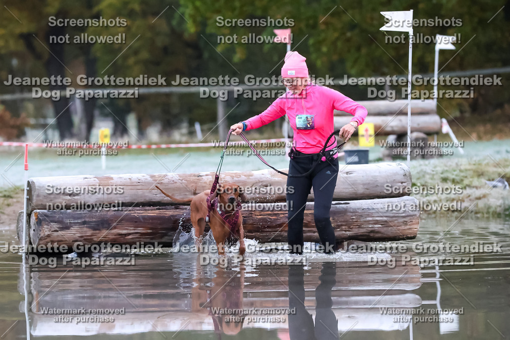 Dog Paparazzi - Strongdog 10-25-6062 | Dog Paparazzi Jeanette Grottendiek Fotografie & Videografie - Realisiert mit Pictrs.com