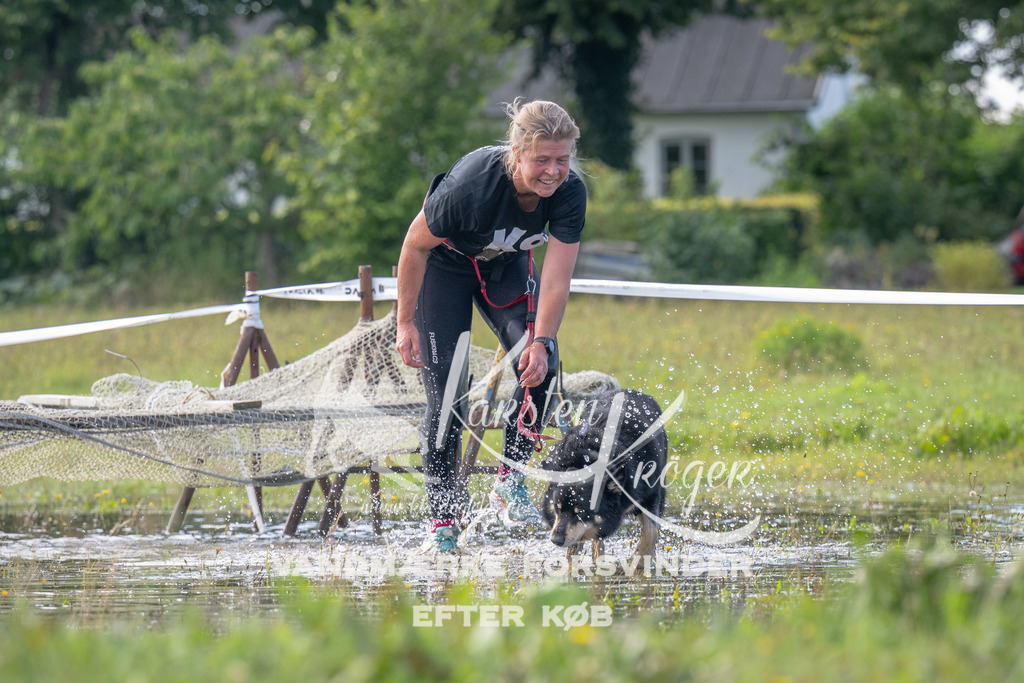 1151_ZZ90134 | kk-dogfotos