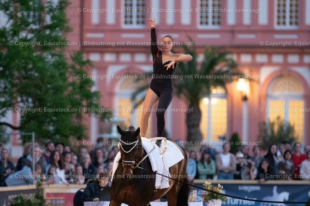 20230527_Voltigieren_NASPA_Flutlicht_0492 | equistock