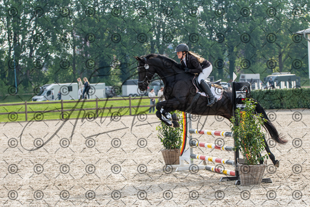 KPT_2033 | andre_photographic