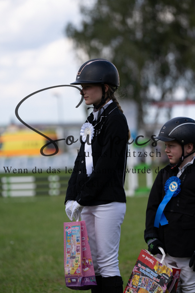 A7V03362 | Pferdefotograf