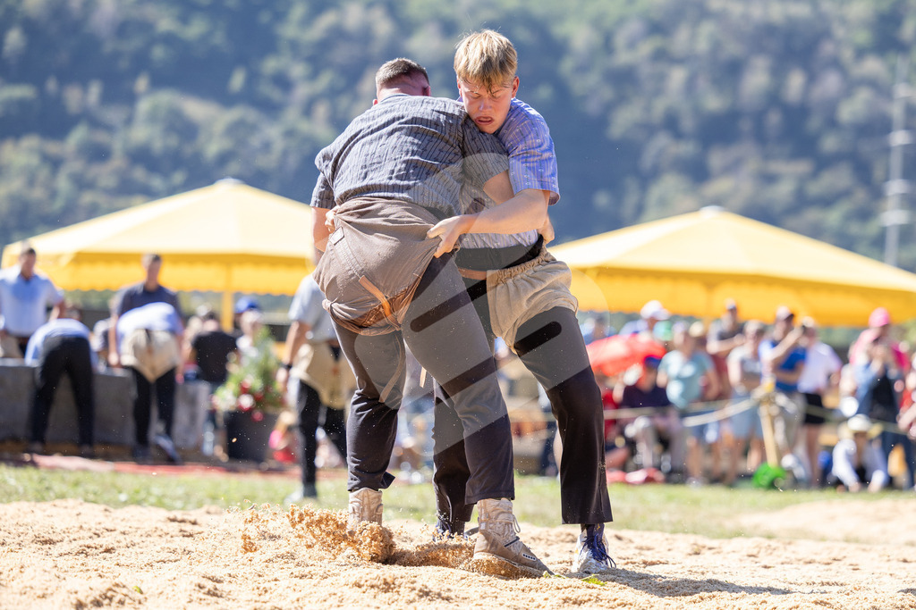 TESSINER2025_04_Gang_0646 | Die Schwinger des Schwyzer Kantonalen Schwingerverbandes: Fotos, die Dynamik und Leidenschaft festhalten, sowie emotionale Momente aus dem traditionellen Schwingsport zeigen. - Realisiert mit Pictrs.com