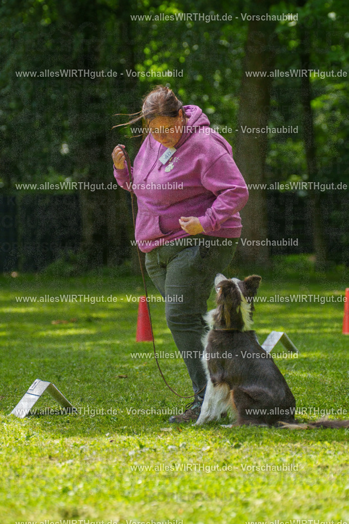 @allesWIRTHgut_Tierfotografie - www.allesWIRTHgut.de - 7R504853 | Professionelle Tierfotografie in Mönchengladbach von Daniel Wirth (allesWIRTHgut). Liebevolle & natürliche Bilder von Hunden & Katzen für unvergessliche Erinnerungen.