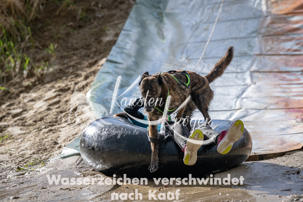1547_ZZ91310 | kk-dogfotos