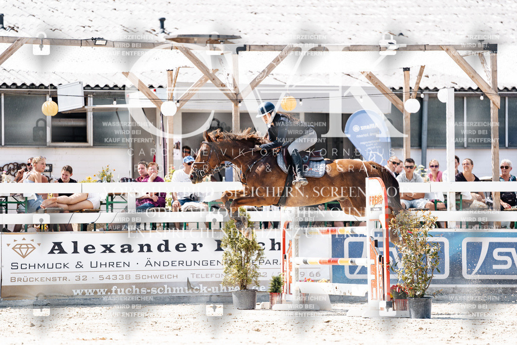 CK909887 | Turnierfotografie Pferdefotografie Trier Rheinland-Pfalz Pferdesport Reitsport Tierfotografie Sportfotografie Pferdevideo Pferdevideografie Equestrianvideography equestrianphotography  - Realisiert mit Pictrs.com