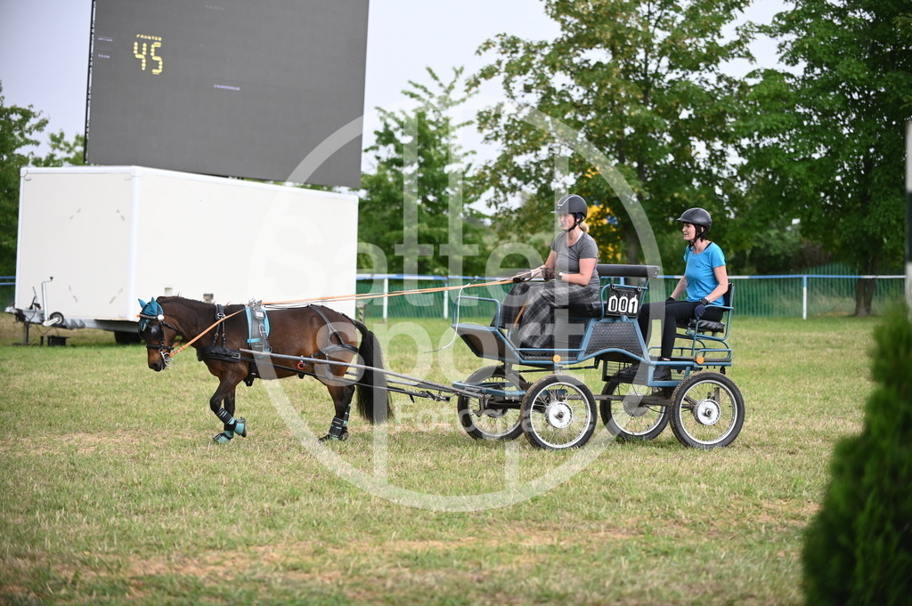 DSC_8638 | sattelsport - Realisiert mit Pictrs.com