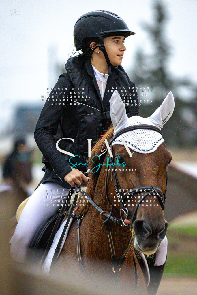 IMG_1567 | s-jay-photography - Realisiert mit Pictrs.com