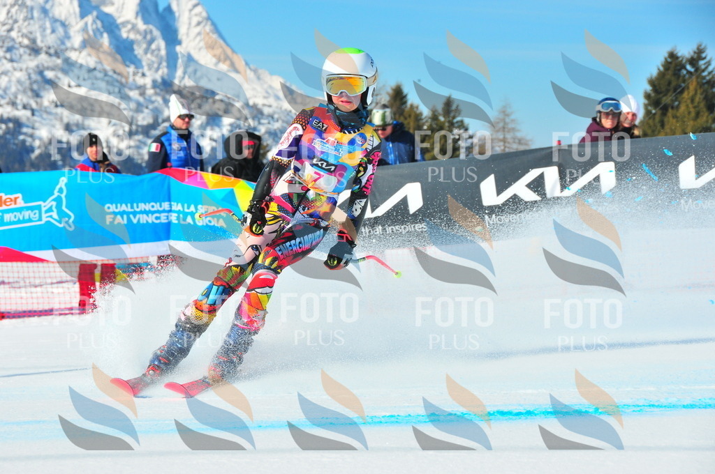 DSC_3722 | holidayphoto