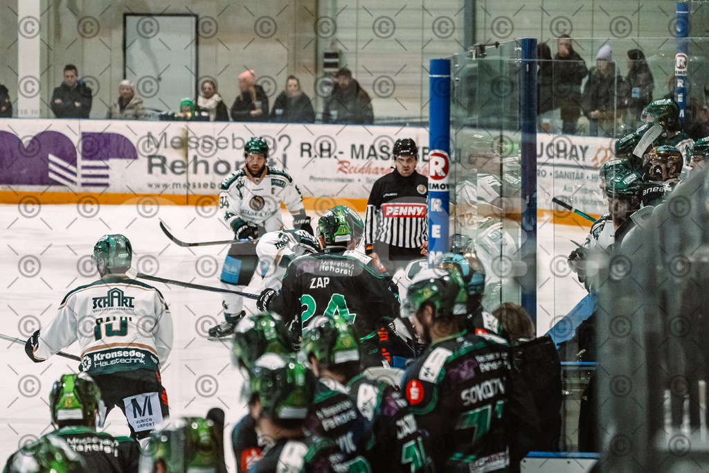 Alligators_vs_Erding_12_12_2025-060 | Höchstadt Alligators Fotogalerie: Eishockey-Action aus Franken. Professionelle Spielfotos, Portraits & Stadionbilder zum Download. Jetzt entdecken! - Realisiert mit Pictrs.com