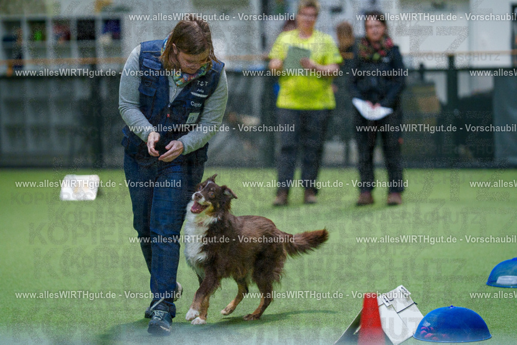 7R504214 | Professionelle Tierfotografie in Mönchengladbach von Daniel Wirth (allesWIRTHgut). Liebevolle & natürliche Bilder von Hunden & Katzen für unvergessliche Erinnerungen.
