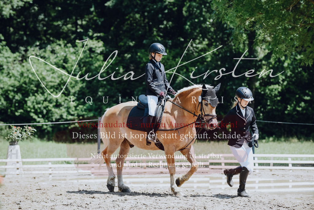 DSC_2147 | Pferde- und Turnierfotografie in Westsachsen. Pferdeportraits, Auftragszeichnungen und intuitive Kunst.