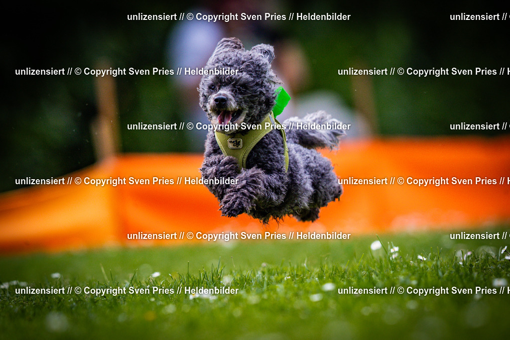 Sven Pries | 2025-05-29 - Pudelrennen KA-Durlach - Realisiert mit Pictrs.com