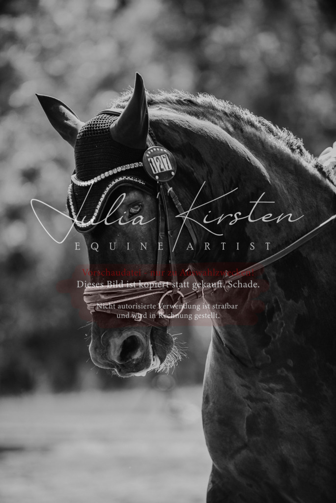 DSC_0679 | Pferde- und Turnierfotografie in Westsachsen. Pferdeportraits, Auftragszeichnungen und intuitive Kunst.