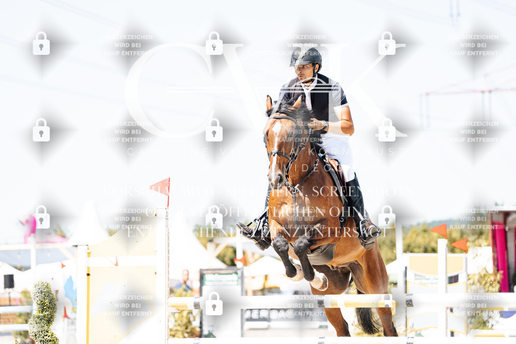 CK909977 | Turnierfotografie Pferdefotografie Trier Rheinland-Pfalz Pferdesport Reitsport Tierfotografie Sportfotografie Pferdevideo Pferdevideografie Equestrianvideography equestrianphotography  - Realisiert mit Pictrs.com