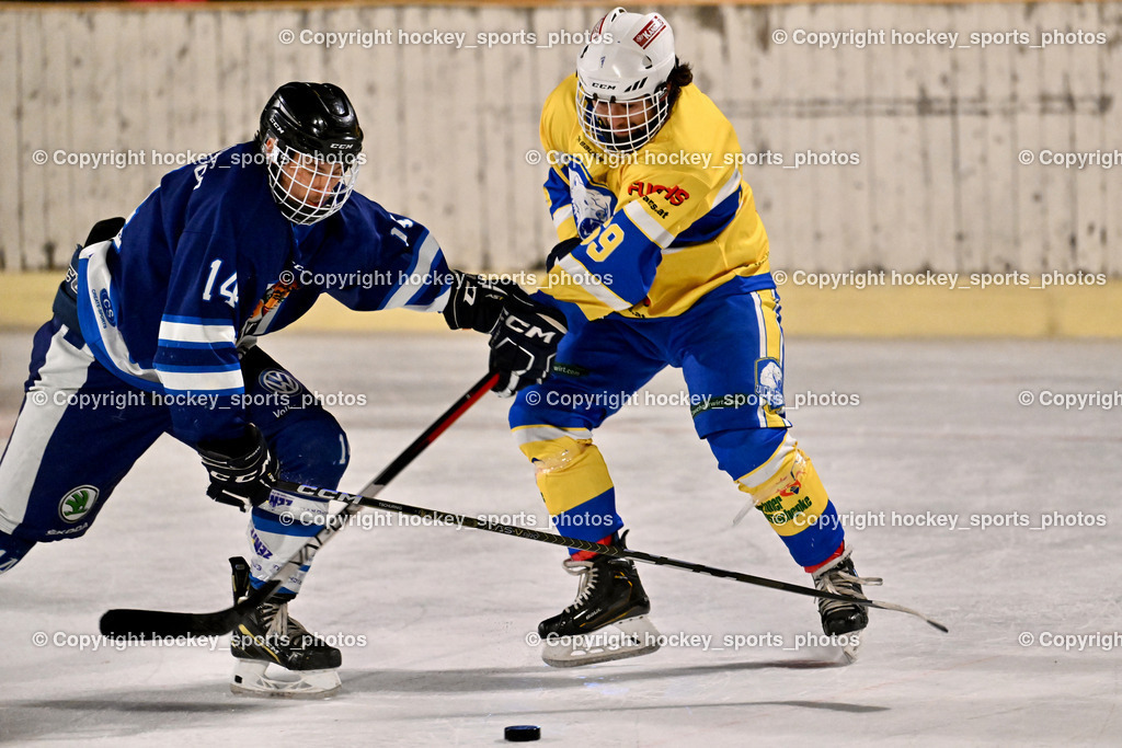 ELV Zauchen vs. EC Tigers Paternion  | #14 Tschurnig Daniel EC Tigers Paternion, #69 Leeb Christopher ELV Zauchen, ELV Zauchen vs. EC Tigers Paternion , ELV Zauchen vs. EC Tigers Paternion  am 02.01.2025 in Eisoval Zauchen (Stadthalle Villach), Austria, (Photo by Bernd Stefan)