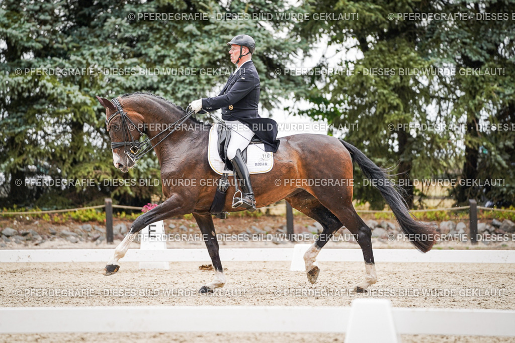 DSC06893 | Pferdegrafie