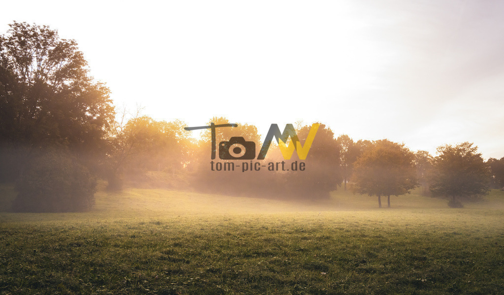 Mystische herbstliche Stimmung am Morgen-Max Eyth See-Stuttgart | Hochauflösende und hochwertige Bilder und Fotos.Kommerzielle oder private Nutzung ✔ Bilder downloaden✔ Acryl ✔ Leinwand ✔ Poster ✔
 - Realisiert mit Pictrs.com