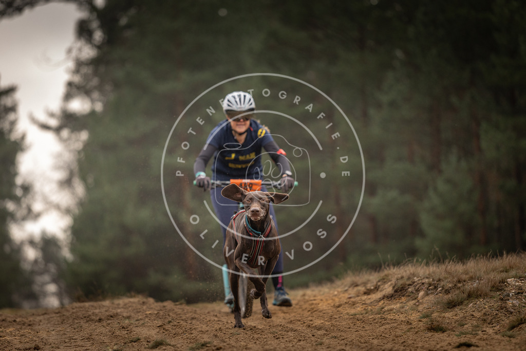 Pfotenfotografie_DV3A4853 | Hundefotografie, Tierfotograf, Pfotenfotografie, Fotoshooting Hund, Hunde Portrait, Hundesport, Hundeportraits, Heideshooting, Hunde, Sportfotograf, Hundefotograf, Turnierhundsport, THS,  - Realisiert mit Pictrs.com
