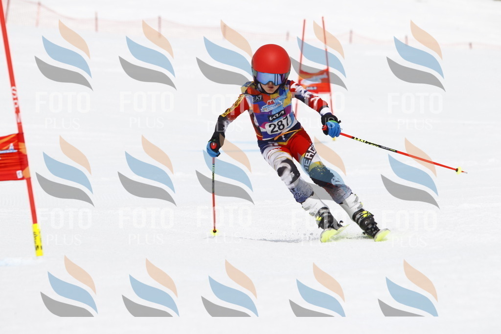 _U3G7195 | holidayphoto