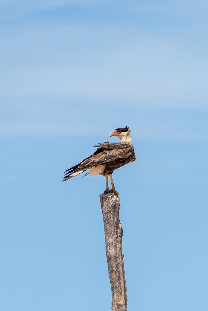 DeltaTour 02.12.25 | paulependelt - Realisiert mit Pictrs.com