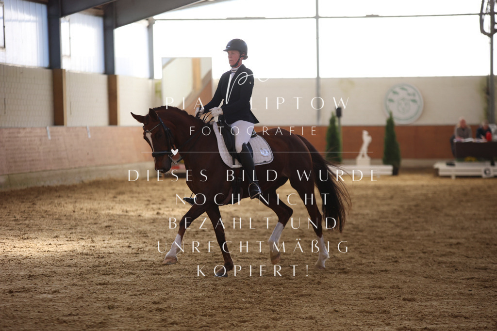 IMGT9856 | pl-fotografie