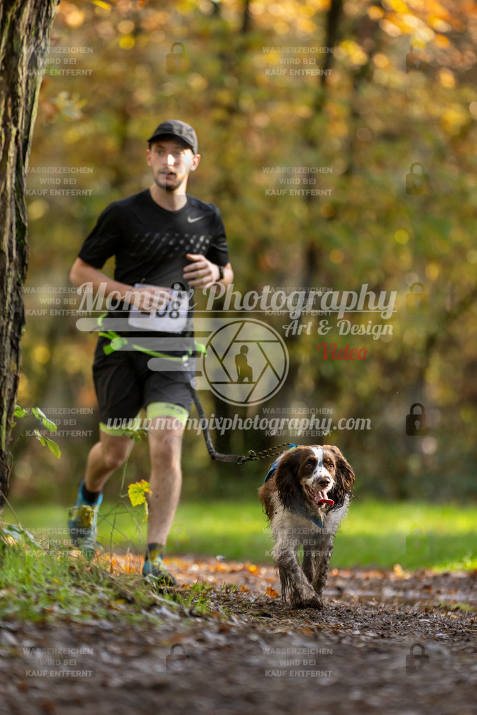 MompixPhotography_Bischwiller23_Canicross-75 | PayLife