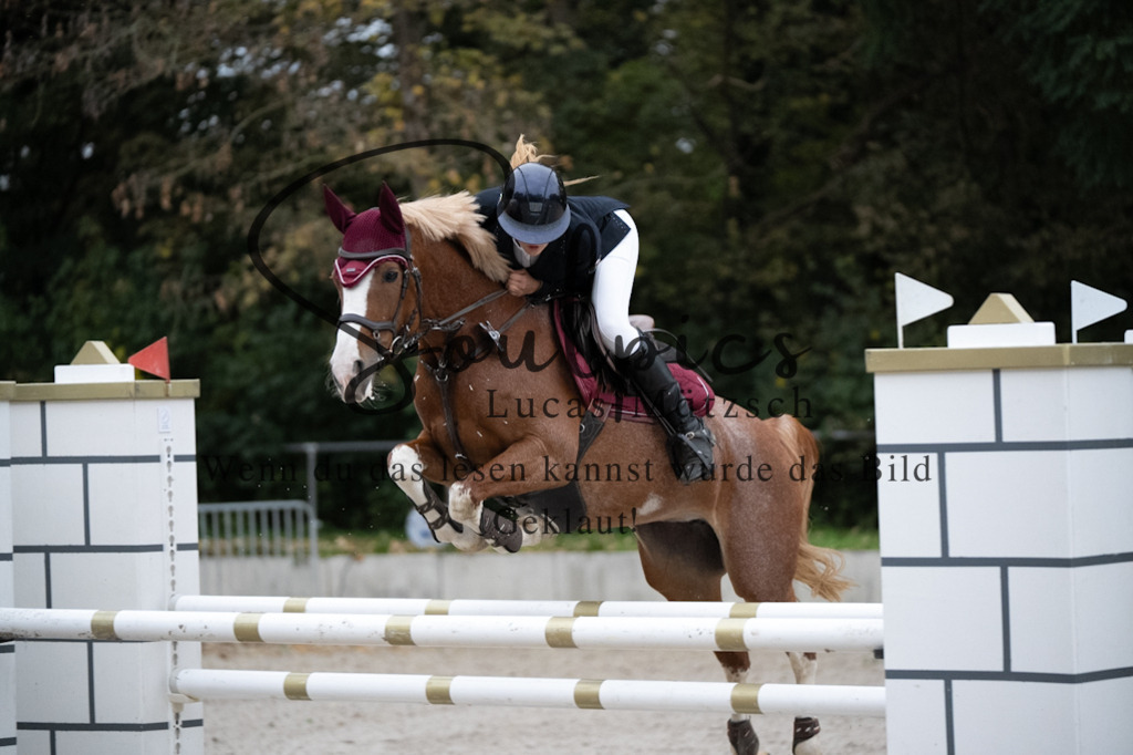 A7V08896 | Turnier/Reitfotograf