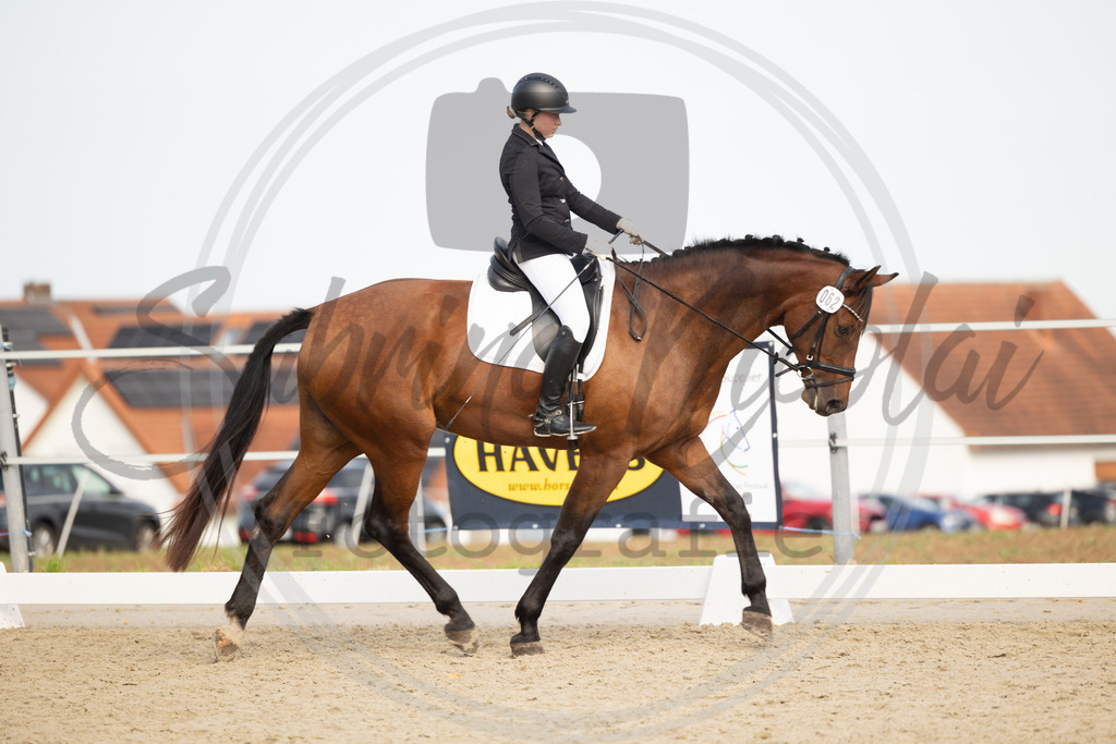 994A1145 | sabrinanicolaifotografie - Realisiert mit Pictrs.com