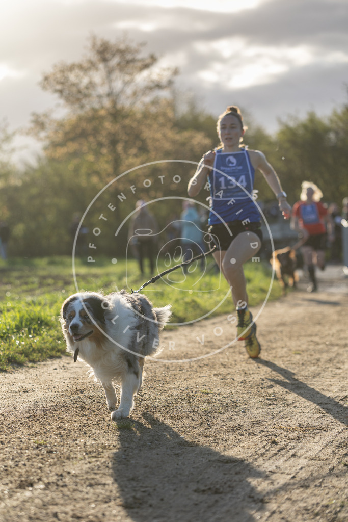 Pfotenfotografie.de_DV3A2922 | Hundefotografie, Tierfotograf, Pfotenfotografie, Fotoshooting Hund, Hunde Portrait, Hundesport, Hundeportraits, Heideshooting, Hunde, Sportfotograf, Hundefotograf, Turnierhundsport, THS, canicross - Realisiert mit Pictrs.com