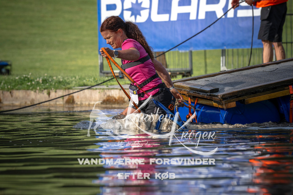 _ZZ941950712 | kk-dogfotos