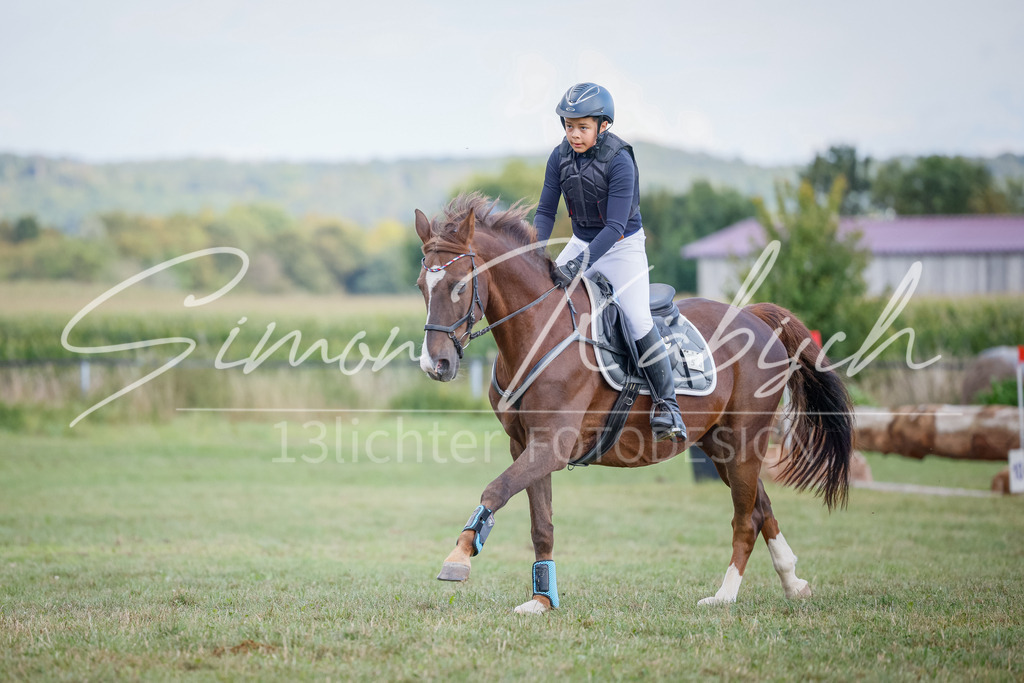 20250905-_3LI1755 | Tierfotografie Pferde, Hunde, Katzen, Haustiere.
Turnierfotografie Reitturniere, Reiten, Springreiten, Dressur in Hanau, dem Main-Kinzig-Kreis und dem Rhein-Main- Gebiet um Frankfurt