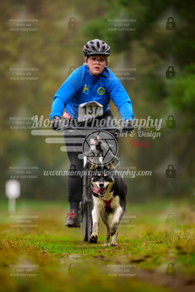 MompixPhotography_Bischwiller2025_Bike-104 | mompixphotography