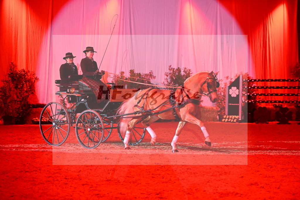 DSP_Avici_As_Karosser_2254523 | hf-fotografie - Realisiert mit Pictrs.com