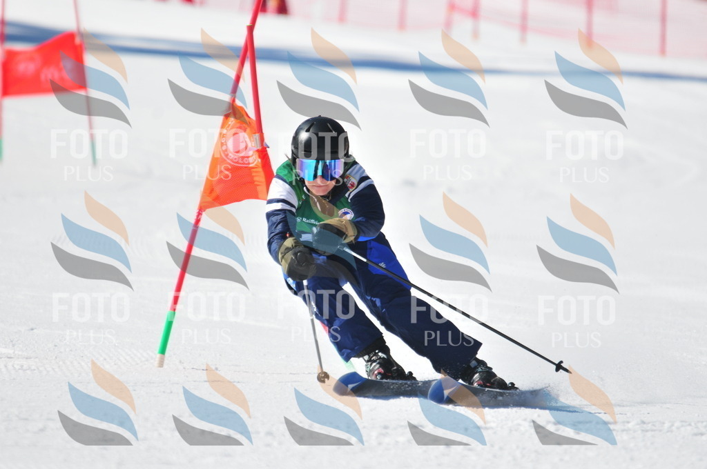 C4149 | holidayphoto