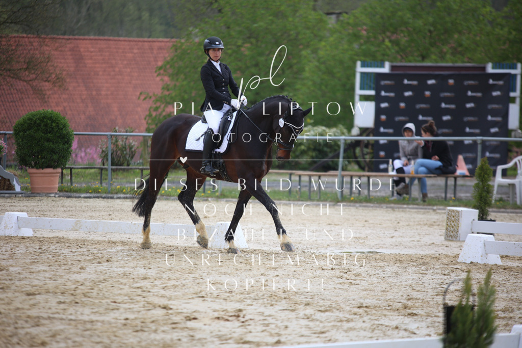 IMGT5359 | pl-fotografie