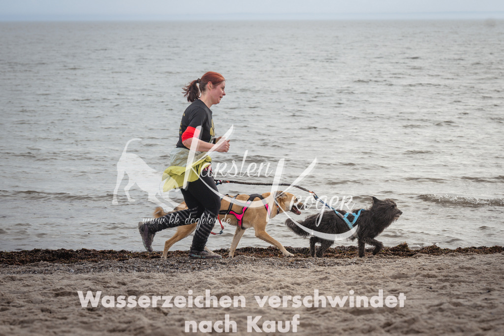 1215_ZZ95687 | kk-dogfotos