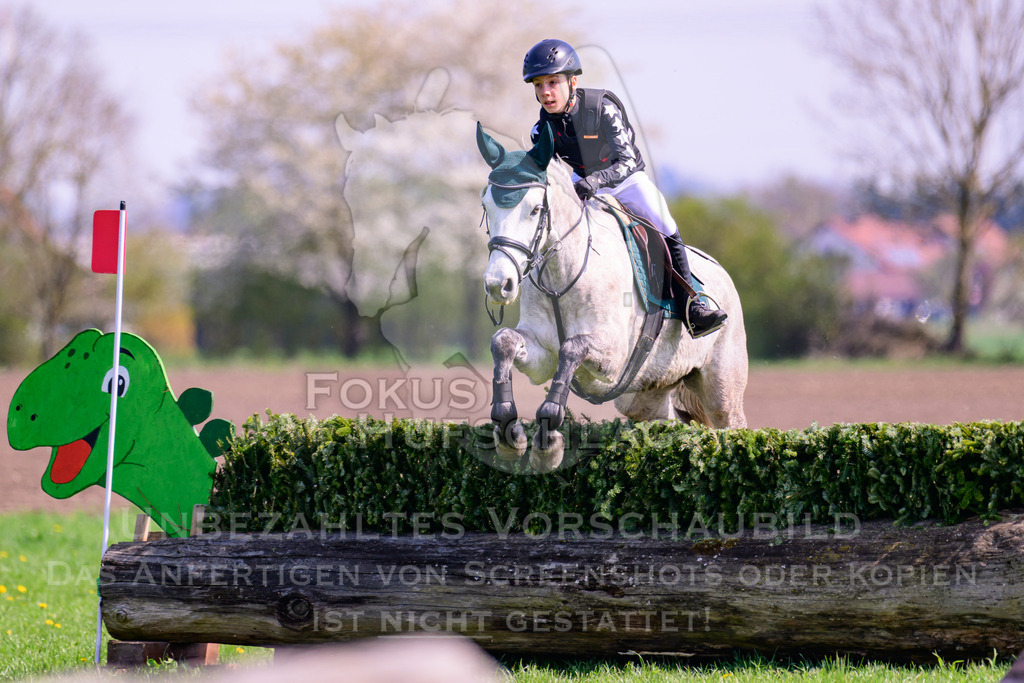18042026-Gernlinden-01-1-0056 | Fokus Hufschlag Fotografie - Realisiert mit Pictrs.com