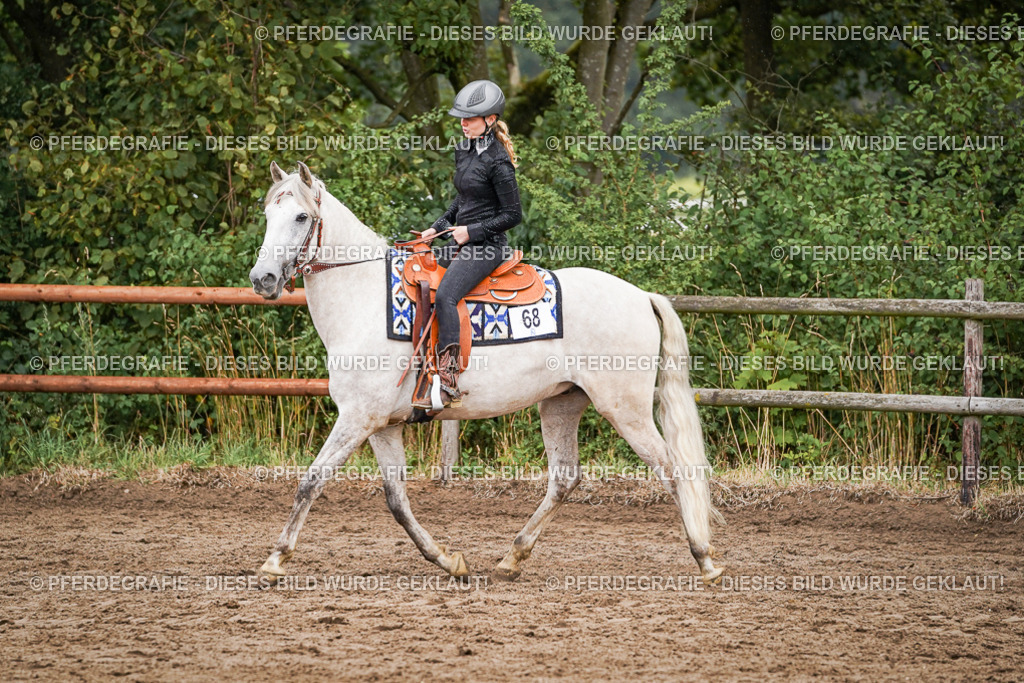 DSC05068 | Pferdegrafie