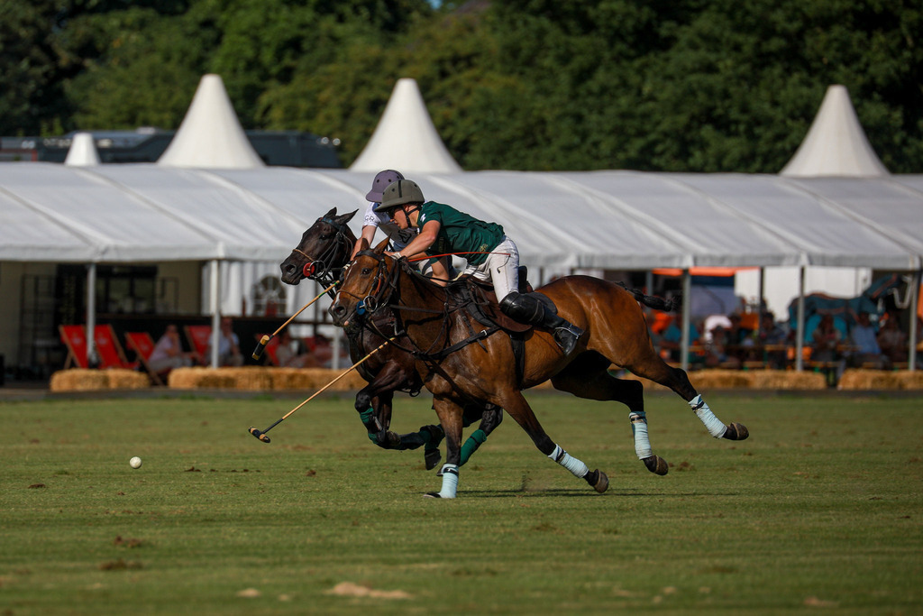 2_TigerFrontierVsGRAT_200525_064 | Bildergalerie von Sport-Ereignissen aber auch von weiteren spannenden Dingen - nicht nur vom Niederrhein. In Anlehnung an den bekannten Spruch von Hanns Dieter Hüsch heißt das Motto: "Niederrhein ist überall".  - Realisiert mit Pictrs.com