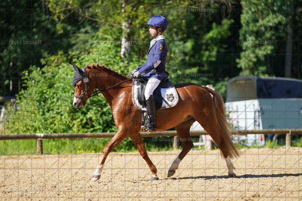 20240706-FAH04625 | Grafing Turnierfotos, Reitverein Ebersberg, Turnierfotografen Bayern, reitsportbilder, Pferdefotograf, reitsportfotograf, Sportbilder, Reitsportfotografie, Fotoagentur Herrmann, Turnierfotograf