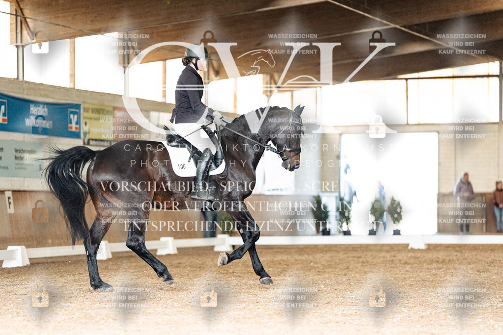 CK902087 | Turnierfotografie Pferdefotografie Trier Rheinland-Pfalz Pferdesport Reitsport Tierfotografie Sportfotografie Pferdevideo Pferdevideografie Equestrianvideography equestrianphotography  - Realisiert mit Pictrs.com