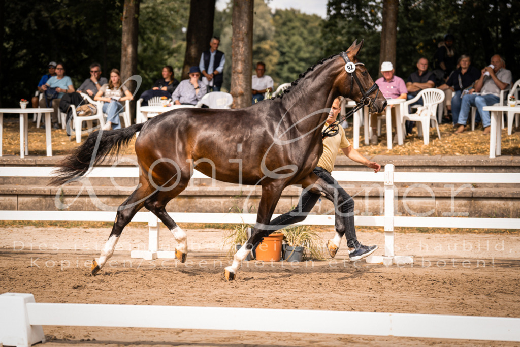 6.Fr00025 | Leoni Ertmer Photography - Realisiert mit Pictrs.com