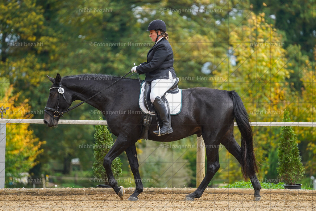 20221007-FAH09852 | Diessen am Ammersee, 2022, Dressur- und Springturnier, Reitsportbilder, Turnierfotografen Bayern, Pferdefotografen, Fotoagentur Herrmann, Turnierbilder