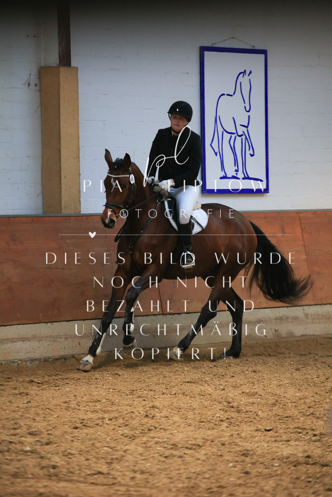 IMGT1734 - Kopie | pl-fotografie