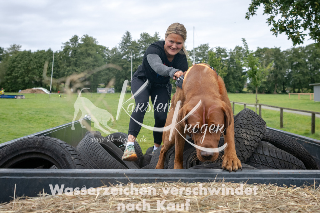 1209_ZZ94582 | kk-dogfotos